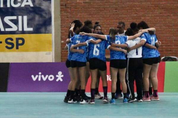 Esporte Netball E Atletas Mãos Com Jogo De Bola E Desafio Num Campo No  Parque Urbano. Esportes Femininos Foto de Stock - Imagem de azul, fêmea:  260353066