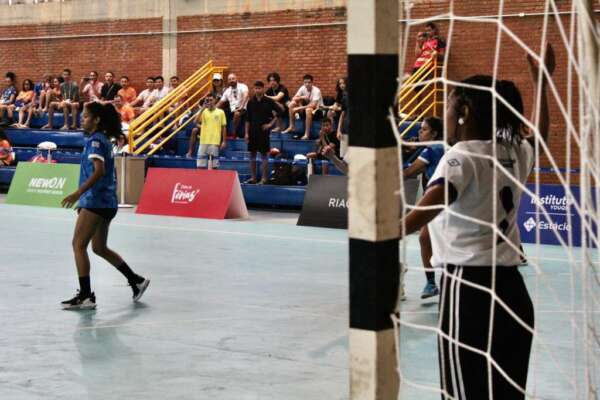 Esporte Netball E Atletas Mãos Com Jogo De Bola E Desafio Num Campo No  Parque Urbano. Esportes Femininos Foto de Stock - Imagem de azul, fêmea:  260353066